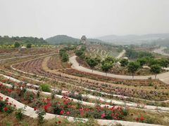 -密云玫瑰情园
