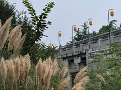 -洛阳市隋唐城遗址植物园