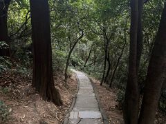 -火炉山森林公园