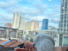 -怪兽屋·羊驼·猫咖·狗咖(俊华广场店)