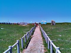 -塞罕坝国家级自然保护区