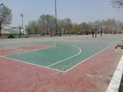 -山东理工大学