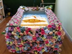 -瑞鹏宠物医院·爱宠堂·骨外专科(西荷分院)