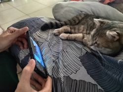 -藤野造型专业烫染接发