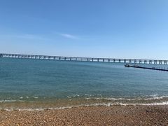 -星海湾跨海大桥