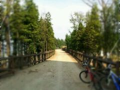 去果园的路上，这条石子路很复古，大爱-阳澄湖费尔蒙酒店