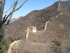 -遵化市禅林寺古银杏风景园