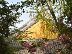 -龙华寺