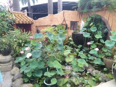 -园林美食城·本土农家菜(杨和镇店)