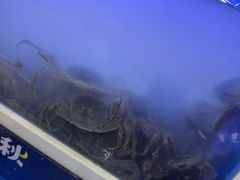 -蟹状元大闸蟹·年货·粽子(成都成华店)