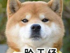 -花筑·扬州个园客栈(瘦西湖东关街店)