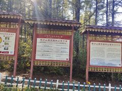 -香炉山国家森林公园
