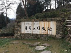 -唐崖土司城遗址