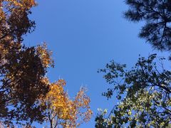 -阳台山自然风景区