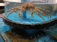 -百富源·海鲜辽菜(张士店)