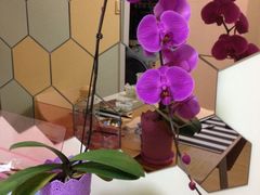iphone_upload_pic-FEI FEI FLOWER鲜花店·气球派对·宝宝宴布置(虹口德必运动Loft店)