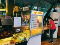-枫花园汽车电影院(朝阳公园店)