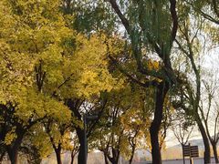 -云龙湖旅游景区