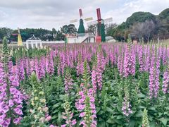 -松山湖南湖湾露营营地