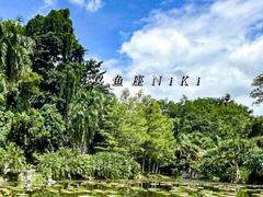 -中国科学院西双版纳热带植物园
