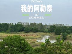 -溱湖国家湿地公园