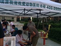 -瑞派宠物医院·24h·骨外科·皮肤科·全科宠物医疗转诊中心(沈阳浑南院)