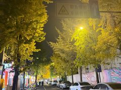 -奎星楼街