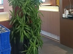 -王家大院·南京菜(湛江路总店)