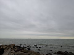 -野狸岛