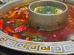 -杨肥肠火锅大排档(火车站花园店)