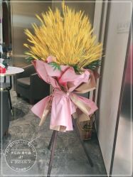 -卡尔诗·科技美肤连锁