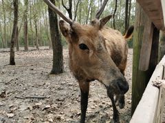 -溱湖国家湿地公园