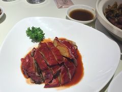 -圆苑(上海广场店)