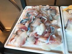 招牌鲜鱼片-淘米捞·米汤脆鲩鱼火锅(福田皇岗店)