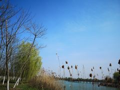 -南湖湿地公园