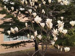 -大连外国语大学(旅顺校区)