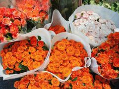 -循礼门鲜花花市(武汉循礼门店)