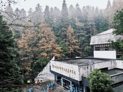 -全国青少年井冈山革命传统教育基地