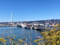 -香港东海海鲜酒家