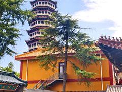 -高旻寺