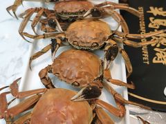 河蟹-半岛听涛蒸汽海鲜自助(K11店)