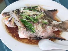 -湛江海鲜餐厅