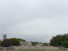 -西京湾花海
