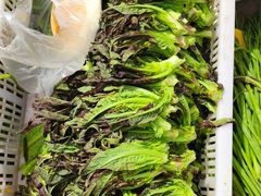 -西北农副产品中心批发市场(广安路店)