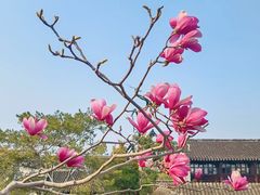 -白塘生态植物园