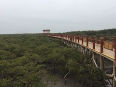 -北海金海湾红树林生态旅游区