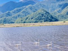 -大九湖