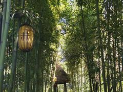 -三苏祠