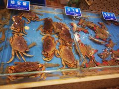 -双井轩(双井店)