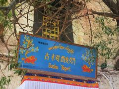 -古树酸奶(八廓南街店)